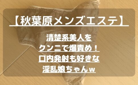 怪獣ブログのアイキャッチ